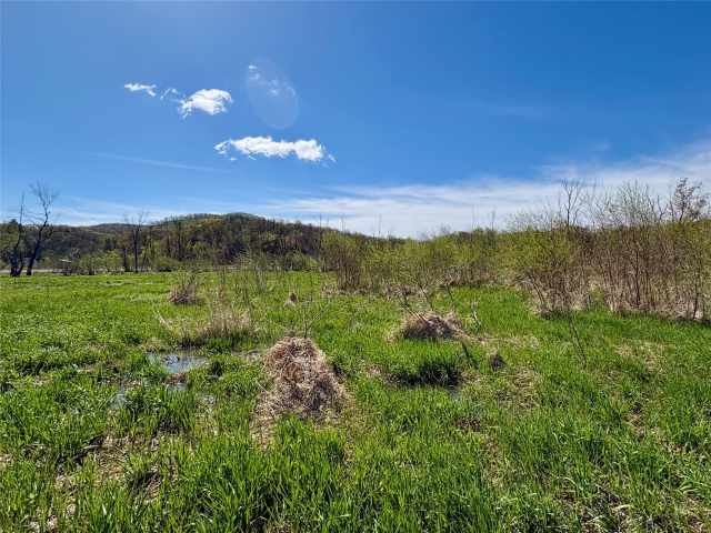 Alma Land Real Estate