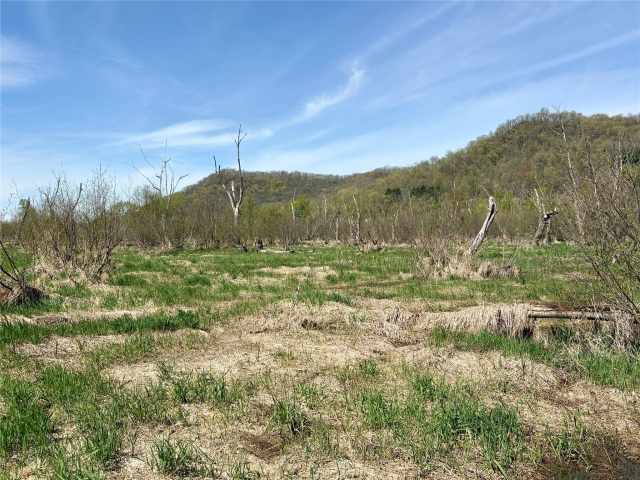 Alma Land Real Estate