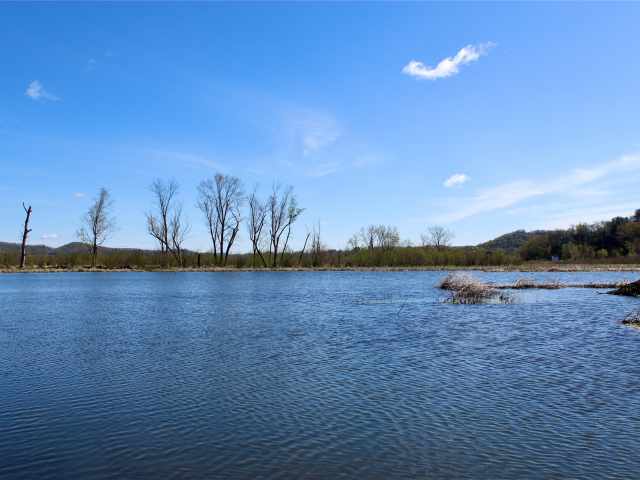 Alma Land Real Estate