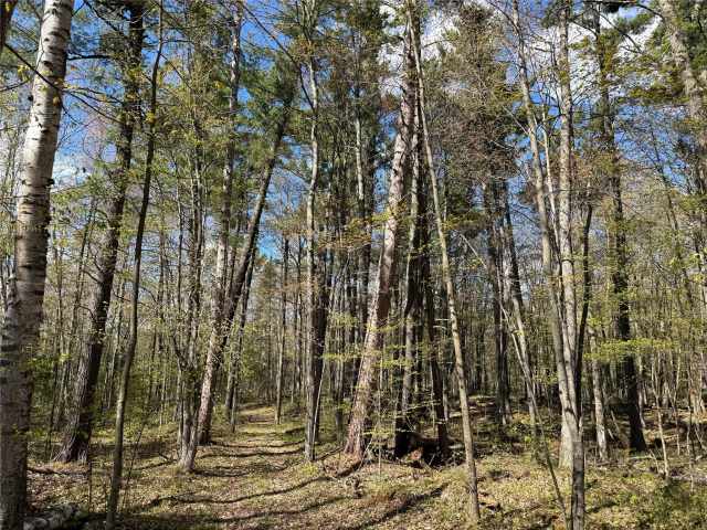 Stone Lake Land Real Estate