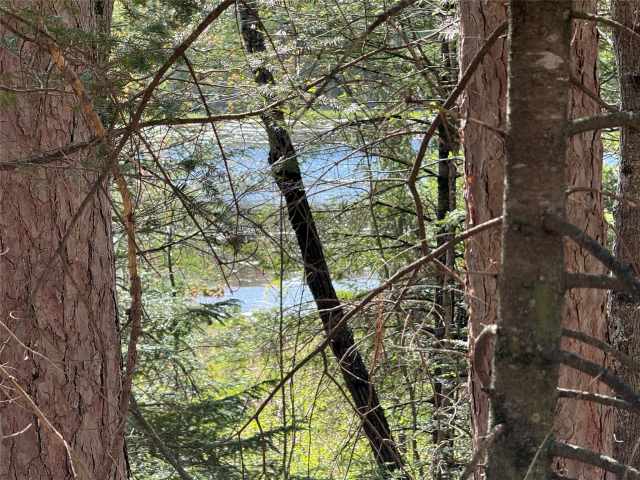 Stone Lake Land Real Estate