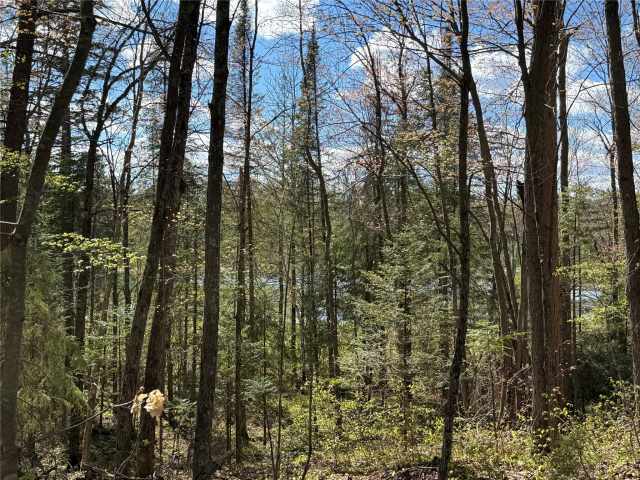 Stone Lake Land Real Estate