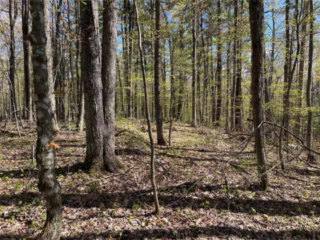 Stone Lake Land Real Estate