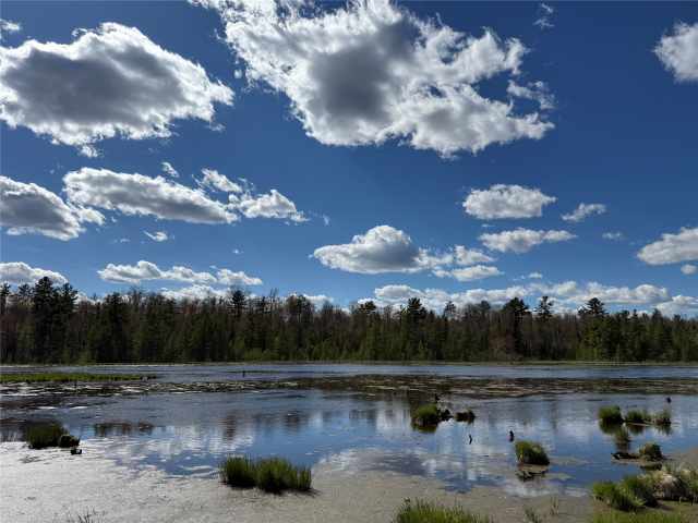 Stone Lake Land Real Estate