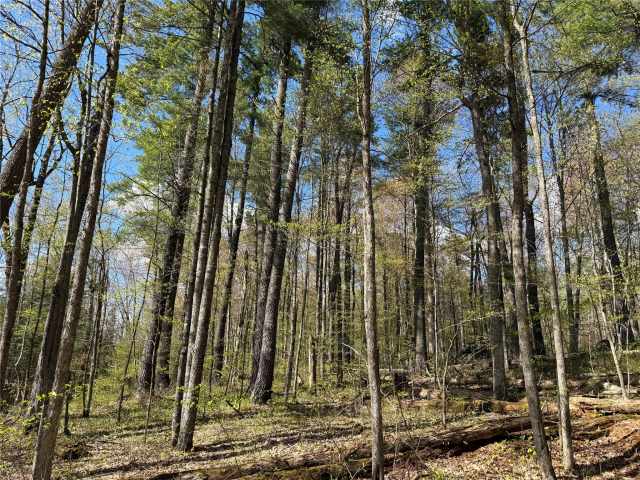Stone Lake Land Real Estate