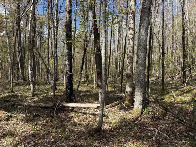 Stone Lake Land Real Estate