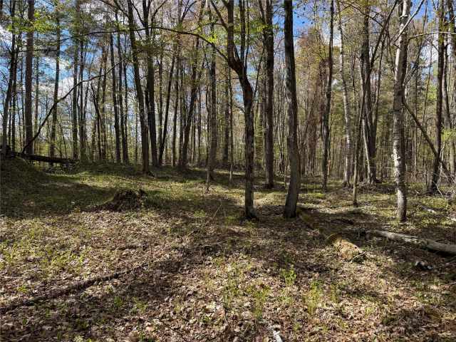 Stone Lake Land Real Estate