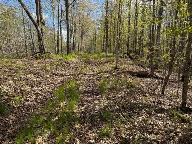 Stone Lake Land Real Estate