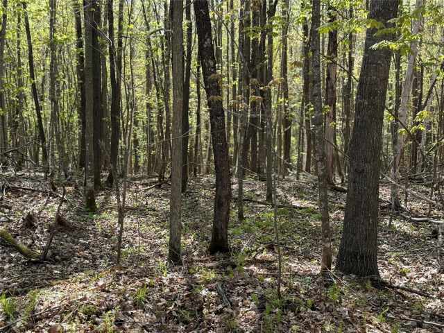 Stone Lake Land Real Estate