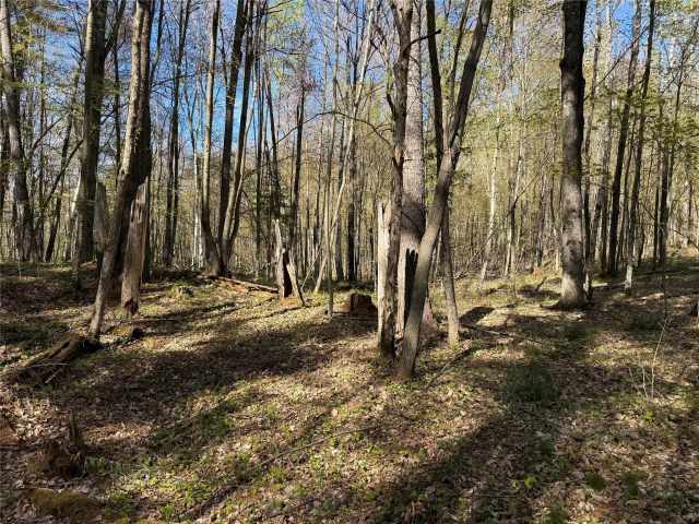 Stone Lake Land Real Estate