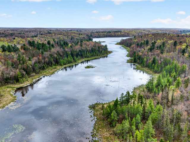 Stone Lake Land Real Estate