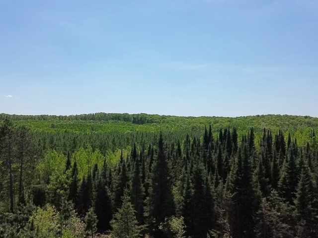 Spooner Land Real Estate