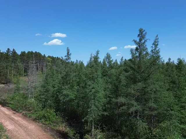 Spooner Land Real Estate