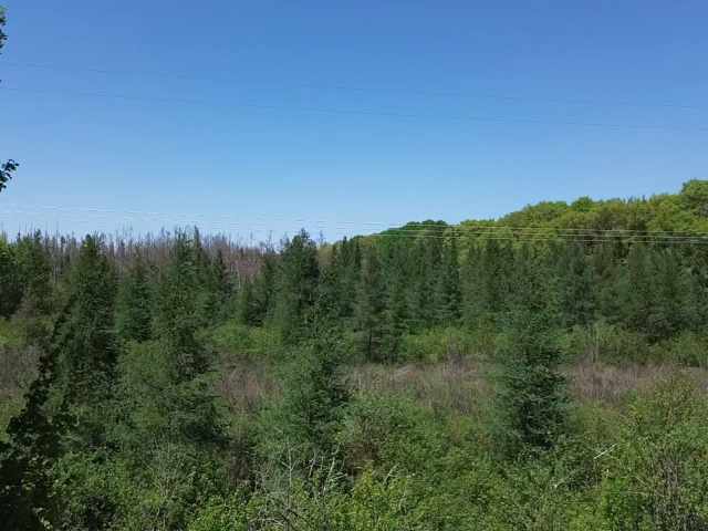 Spooner Land Real Estate