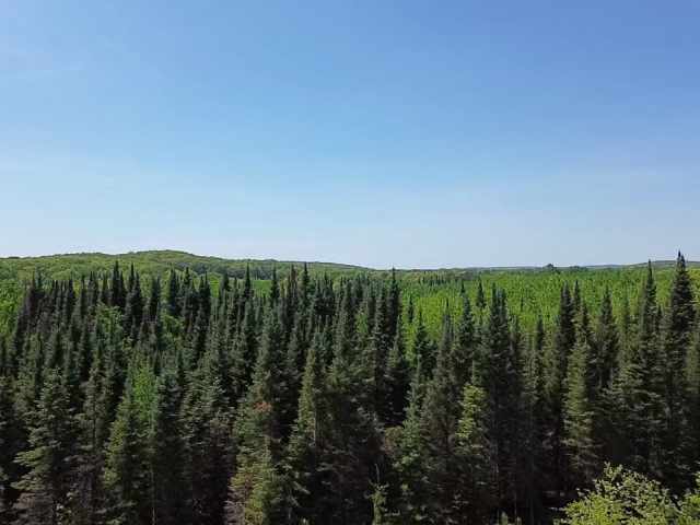 Spooner Land Real Estate