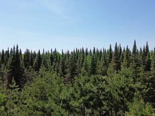 Spooner Land Real Estate