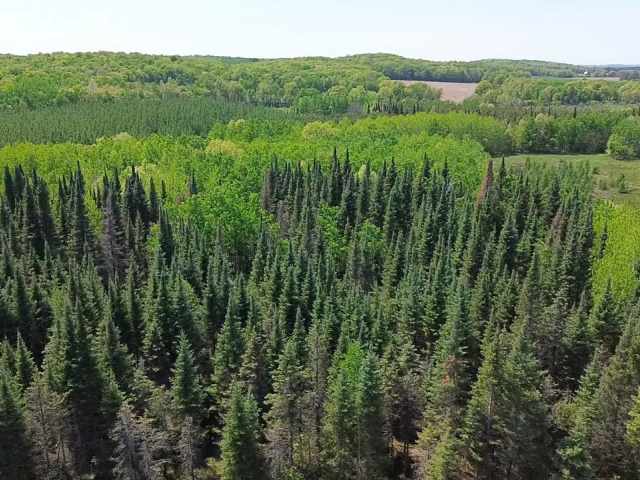Spooner Land Real Estate