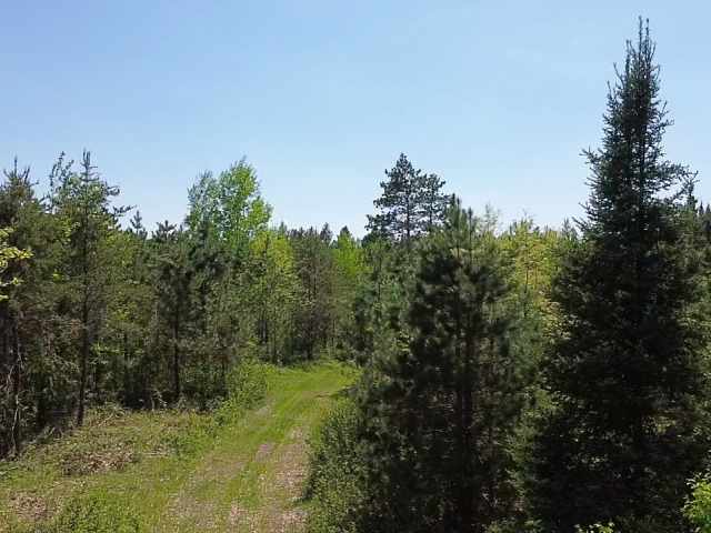 Spooner Land Real Estate
