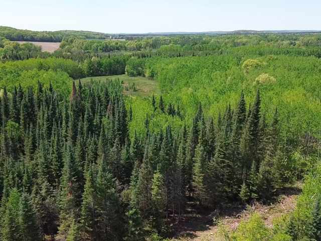Spooner Land Real Estate