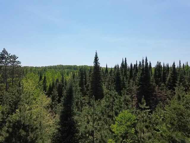 Spooner Land Real Estate