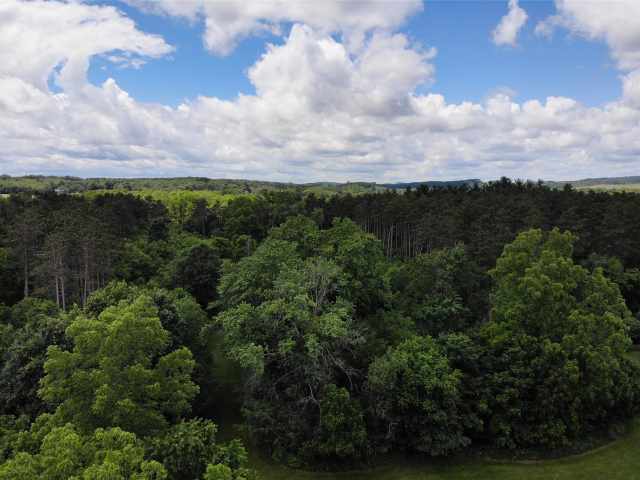 Osseo Residential Real Estate