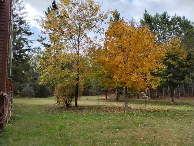 Springbrook Residential Real Estate