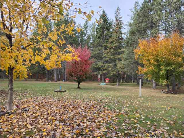 Springbrook Residential Real Estate