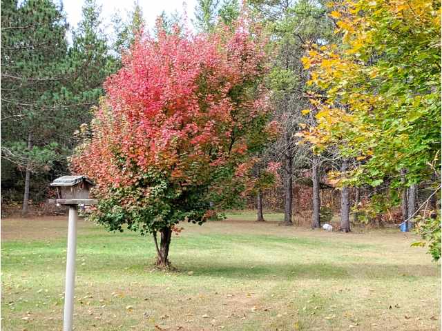 Springbrook Residential Real Estate