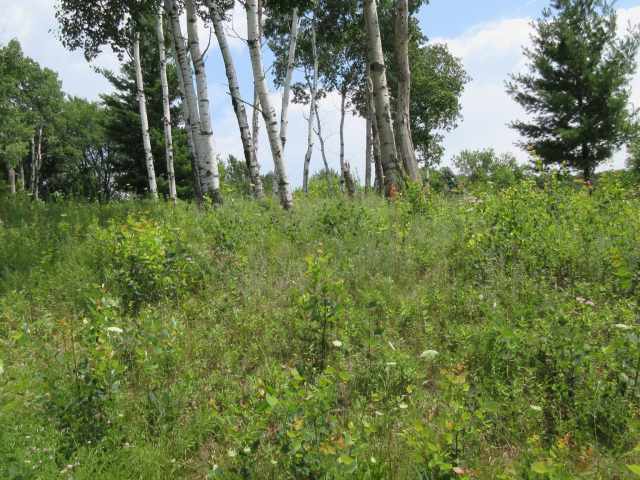 Menomonie Land Real Estate