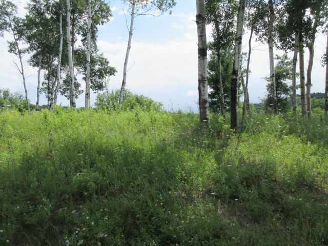 Menomonie Land Real Estate