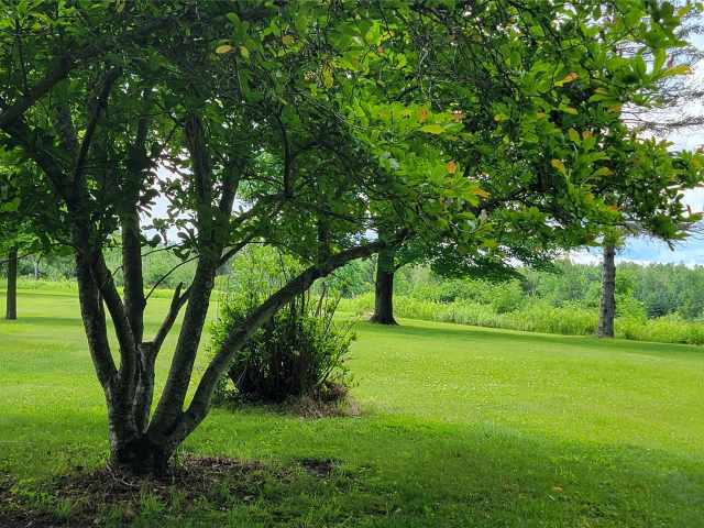 Ladysmith Residential Real Estate