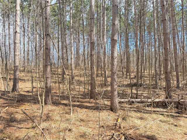 Rice Lake Land Real Estate