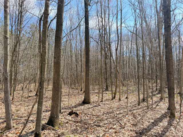 Rice Lake Land Real Estate