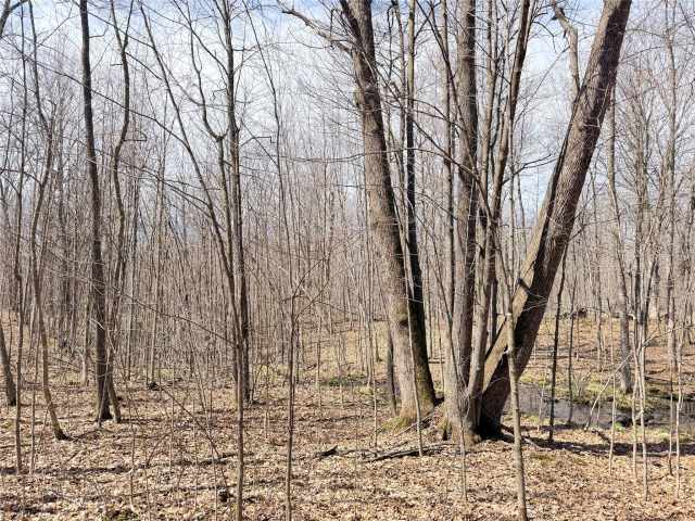 Rice Lake Land Real Estate
