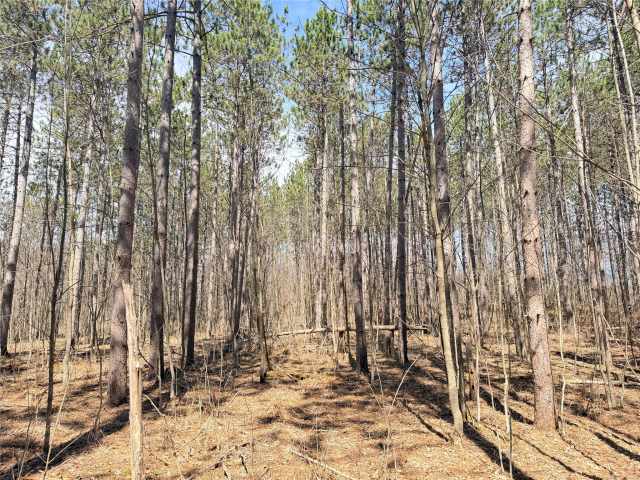 Rice Lake Land Real Estate