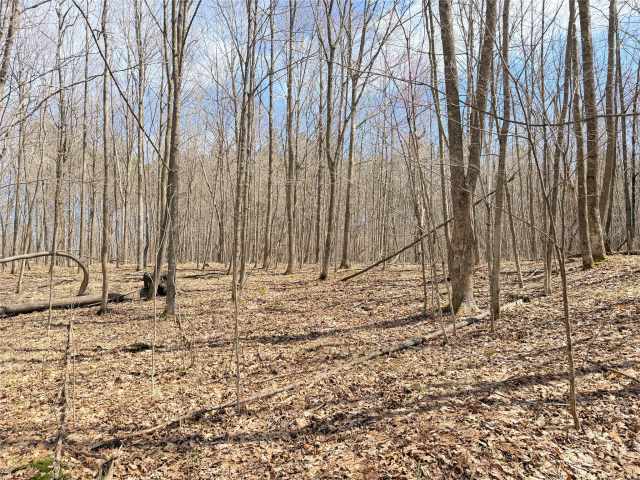 Rice Lake Land Real Estate