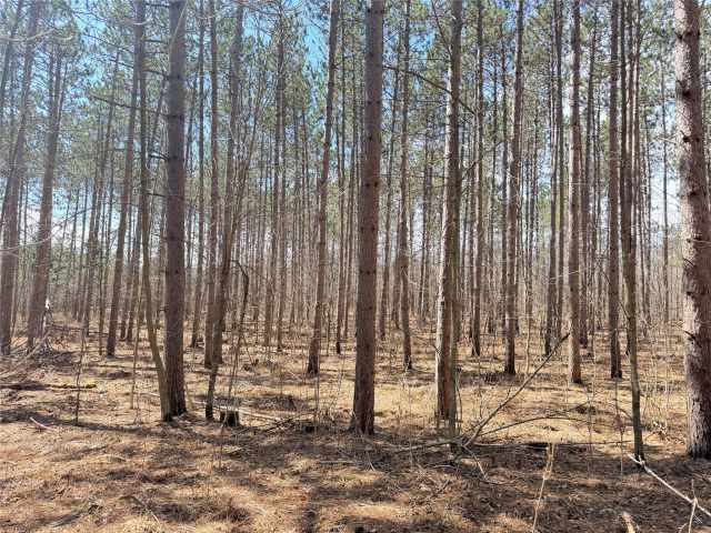 Rice Lake Land Real Estate