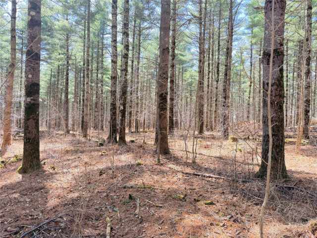 Rice Lake Land Real Estate