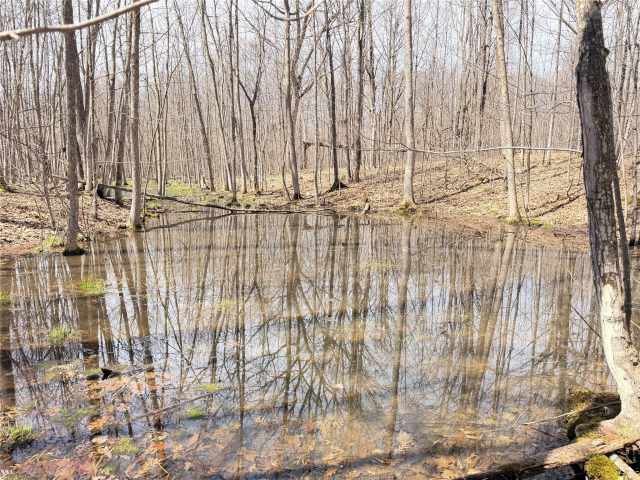 Rice Lake Land Real Estate