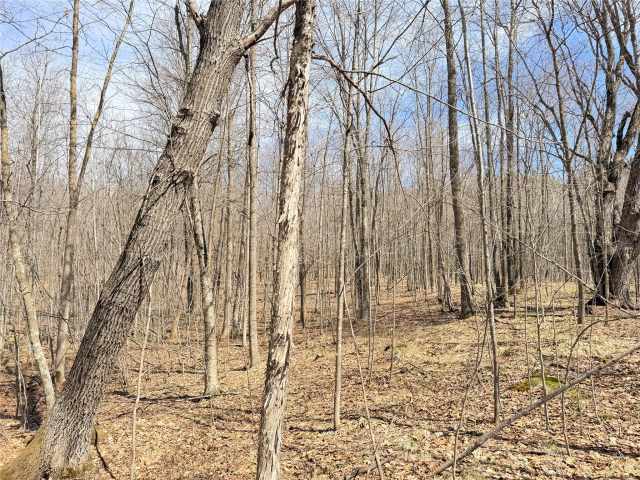 Rice Lake Land Real Estate