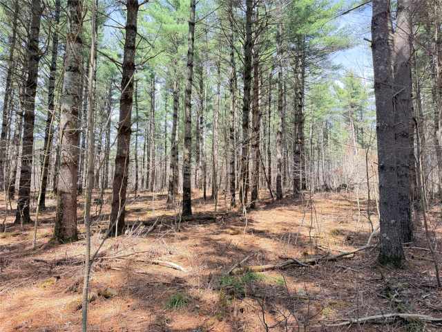 Rice Lake Land Real Estate