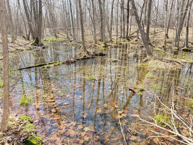 Rice Lake Land Real Estate