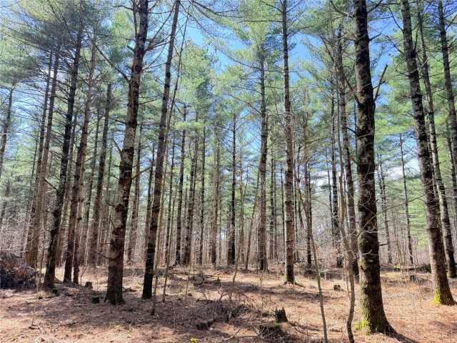 Rice Lake Land Real Estate