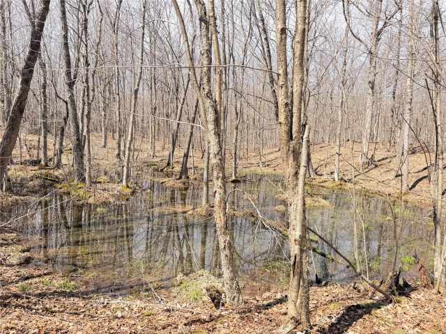 Rice Lake Land Real Estate