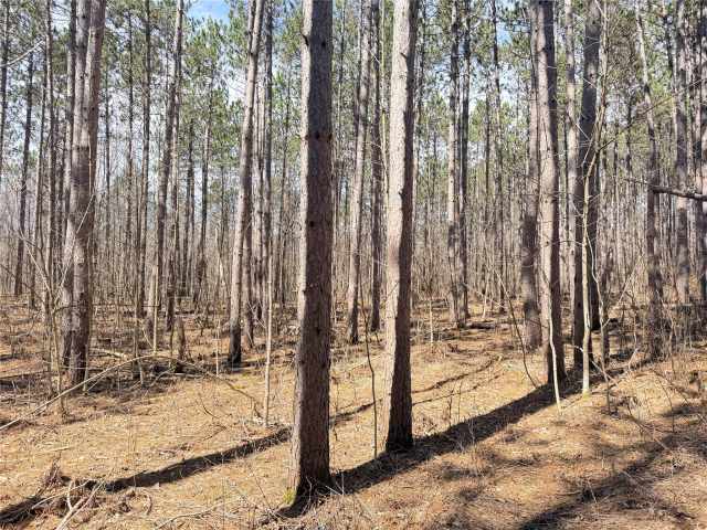 Rice Lake Land Real Estate