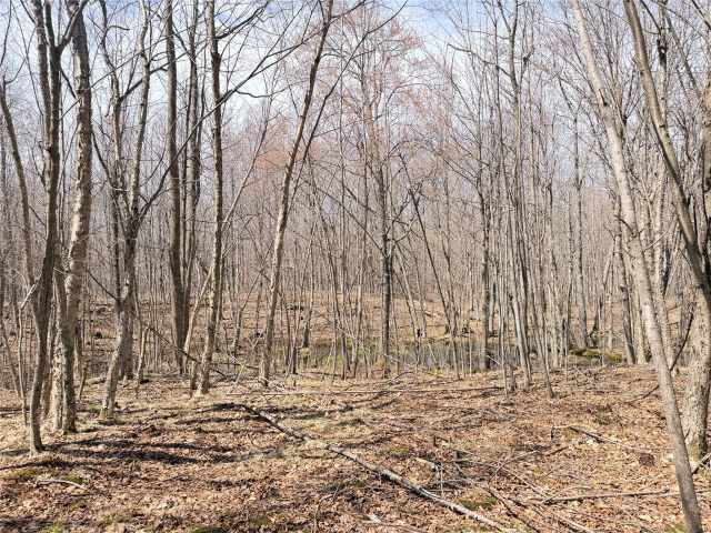Rice Lake Land Real Estate