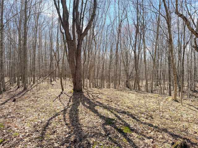 Rice Lake Land Real Estate