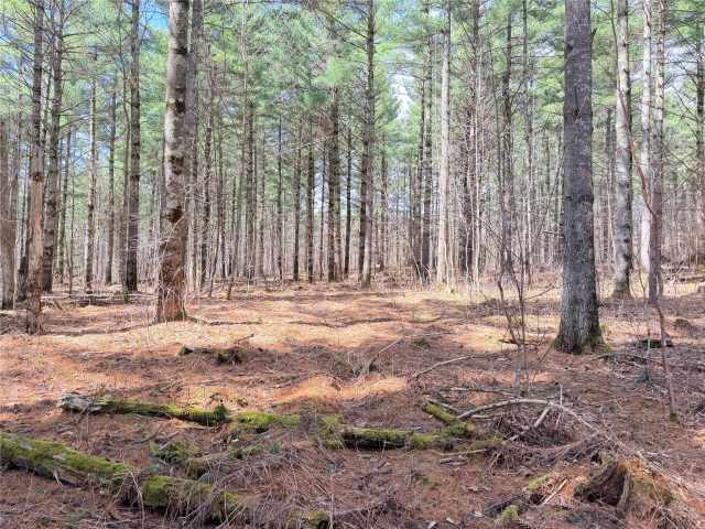 Rice Lake Land Real Estate