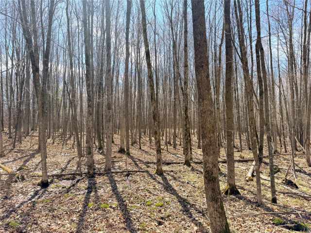 Rice Lake Land Real Estate