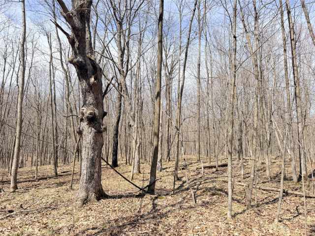Rice Lake Land Real Estate